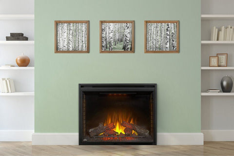 Image of Napoleon Ascent 40" Electric Fireplace Insert - Electric Fireplace - Napoleon - ElectricFireplacesPlus.com